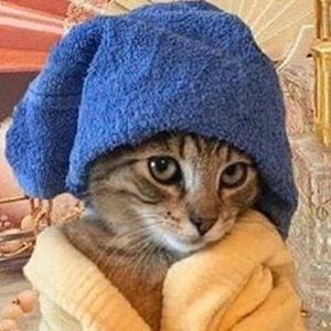 Meet your Posher, Rania